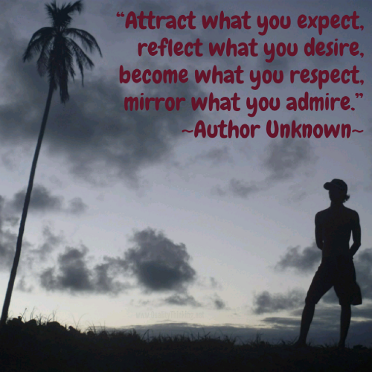 Attract (2)